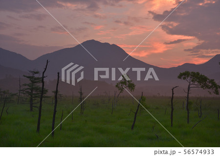 夜明けの戦場ヶ原と太郎山 夜明けの戦場ヶ原と太郎山 56574933