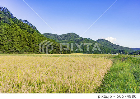 実りの秋 宮城県秋保町 実りの秋 宮城県秋保町 56574980