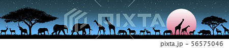 Animals in the wild savannah at sunrise 56575046