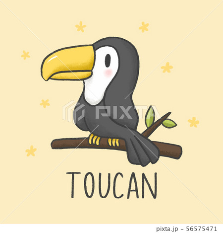 Cute Toucan cartoon hand drawn style 56575471