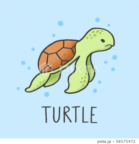 Cute Turtle cartoon hand drawn style 56575472