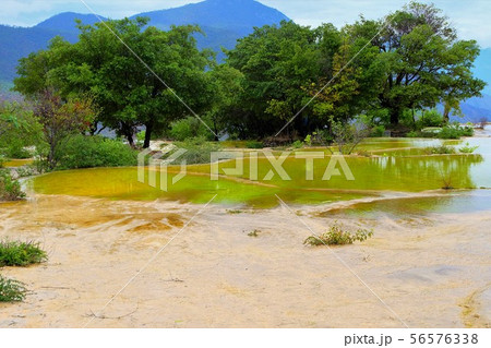 中国：シャングリラの白水台 China Shangri-La Baishutai 56576338