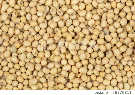 dry soybeans texture - Top view. dry soybeans texture - Top view. 56576811