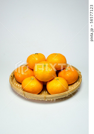 ハウスみかん ハウスみかん 56577123