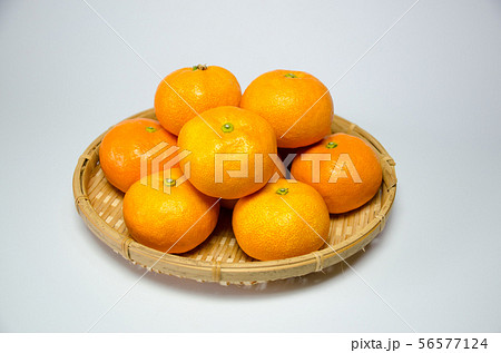 ハウスみかん 56577124