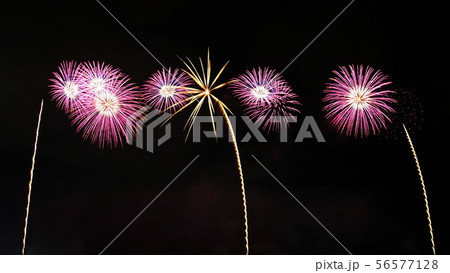 2019 うつのみや花火大会 （ 栃木県宇都宮市 ） 鬼怒川 道場宿緑地 56577128