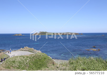 スコトン岬とトド島 スコトン岬とトド島 56577210