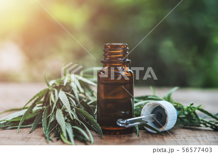 Cannabis herb and leaves with oil extracts in 56577403