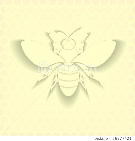 Bee honey paper cut style vector image.のイラスト素材 [56577421] - PIXTA