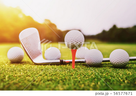 golf ball on green grass with sunset 56577671