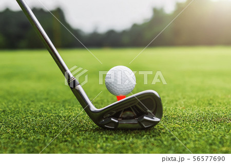 closeup golf club and golf ball on green grass 56577690