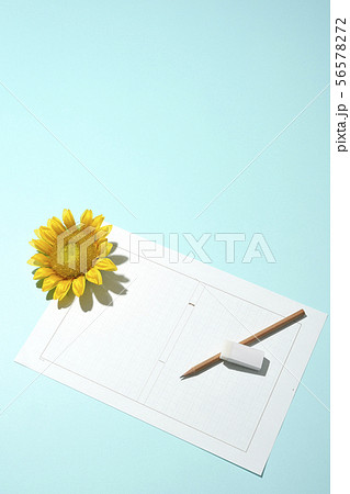 夏の思い出 夏の思い出 56578272