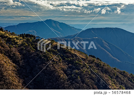 丹沢・鍋割山稜から大倉尾根越しに見る表尾根・大山 丹沢・鍋割山稜から大倉尾根越しに見る表尾根・大山 56578468