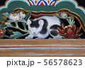 眠り猫　日光東照宮　令和元年８月 56578623