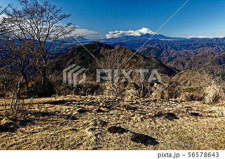 初冬の丹沢・鍋割山から見る富士山 56578643