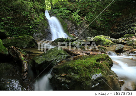 風挙の滝_岩場(栃木) 風挙の滝_岩場(栃木) 56578753