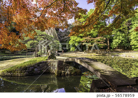東京都 小石川後楽園 紅葉の写真素材