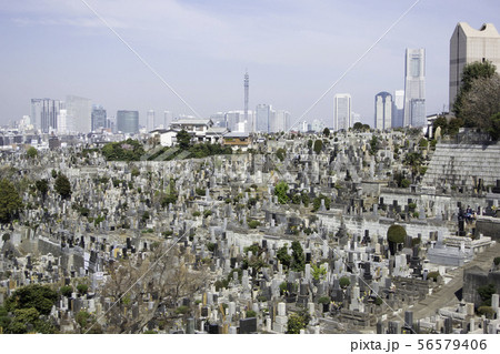 久保山墓地 横浜 久保山墓地 横浜 56579406