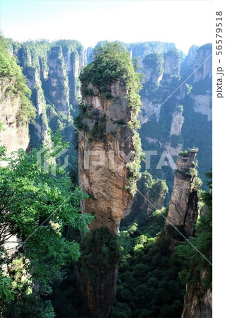 袁家界展望台からの迷魂台（中国張家界） Zhangjiajie Mihuntai China 56579518