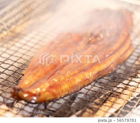 うなぎの炭火焼き(炭焼き・網焼き・七輪・バーベキュー・BBQ・bbq・焼肉・キャンプ・鰻の蒲焼き うなぎの炭火焼き(炭焼き・網焼き・七輪・バーベキュー・BBQ・bbq・焼肉・キャンプ・鰻の蒲焼き 56579701