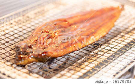 うなぎの炭火焼き（炭焼き・網焼き・七輪・バーベキュー・BBQ・bbq・焼肉・キャンプ・鰻の蒲焼き 56579702