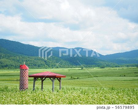 北海道の絶景 幌加内町そば畑展望台 56579895
