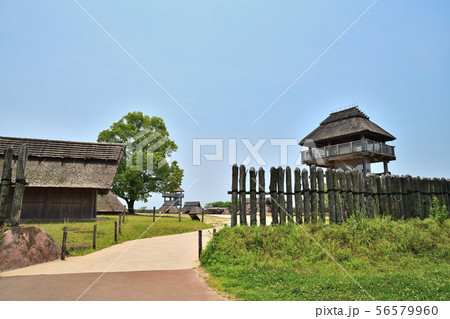 佐賀県　吉野ヶ里歴史公園　吉野ヶ里遺跡　 56579960