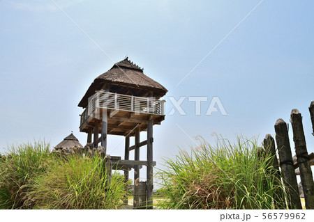佐賀県　吉野ヶ里歴史公園　吉野ヶ里遺跡　 56579962