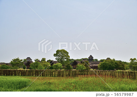 佐賀県　吉野ヶ里歴史公園　吉野ヶ里遺跡　 56579987