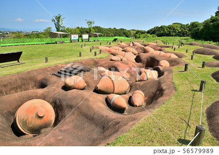 佐賀県　吉野ヶ里歴史公園　吉野ヶ里遺跡　 56579989