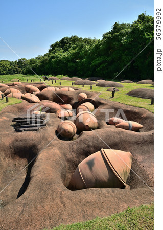 佐賀県　吉野ヶ里歴史公園　吉野ヶ里遺跡　 56579992