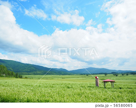 北海道の絶景 幌加内そば畑 北海道の絶景 幌加内そば畑 56580065