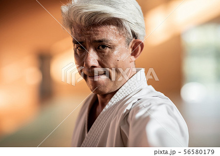 karateka karateka 56580179