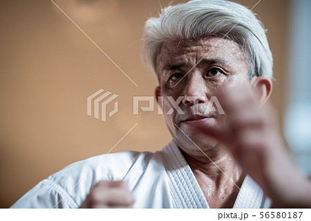 karateka karateka 56580187