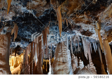 星野洞、鍾乳洞 56580216