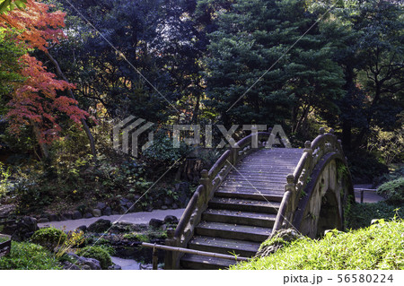 （東京）小石川後楽園　円月橋　紅葉 56580224