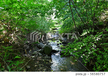 北海道 精進川3丁目 北海道 精進川3丁目 56580757