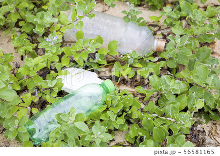 海岸に打ち上げられたプラスチックごみ 56581165