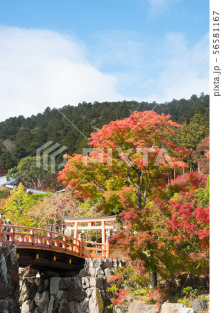 大阪府 勝尾寺の紅葉の写真素材