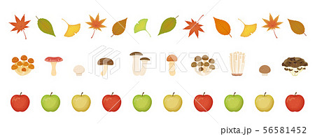 秋のライン素材 秋のライン素材 56581452