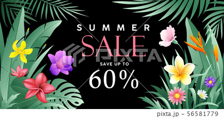 Banners Summer sale tropical vector green feaf 56581779