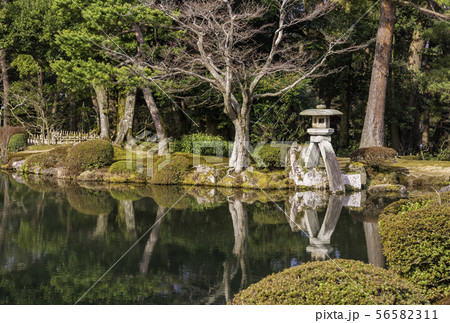 （石川県）兼六園　雪の無い・冬景色 56582311