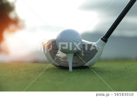 Golf ball and golf club in beautiful golf course a Golf ball and golf club in beautiful golf course a 56583010