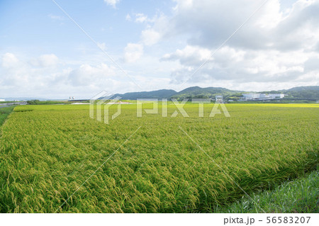 田舎の風景-三重 56583207