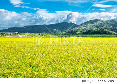 田舎の風景-三重 56583209