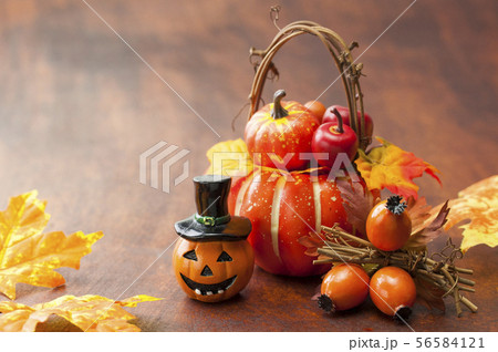 ハロウィン ハロウィン 56584121