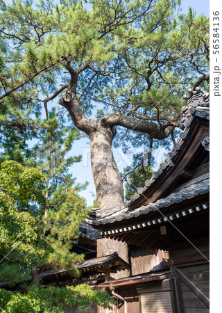 西船橋駅周辺 56584136