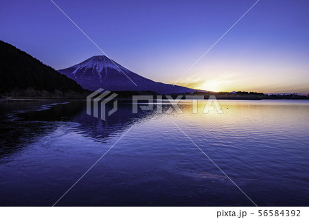 (静岡県)薄氷のはった田貫湖から望む富士山 夜明け (静岡県)薄氷のはった田貫湖から望む富士山 夜明け 56584392