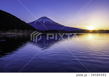(静岡県)薄氷のはった田貫湖から望む富士山 夜明け (静岡県)薄氷のはった田貫湖から望む富士山 夜明け 56584393