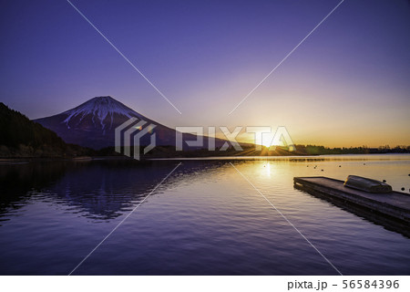 (静岡県)薄氷のはった田貫湖から望む富士山 夜明け (静岡県)薄氷のはった田貫湖から望む富士山 夜明け 56584396